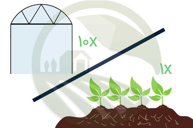 افزایش میزان تولید محصول در گلخانه نسبت به مزرعه و افزایش درآمد گلخانه