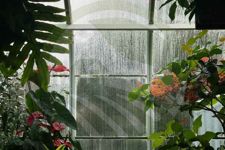 پوشش شیشه ای گلخانه