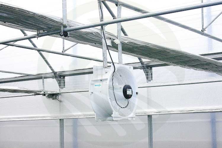 فن های لایه زدایی هوا به طور فزاینده برای مخلوط کردن هوا در گلخانه استفاده می شود