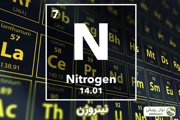 عنصر نیتروژن