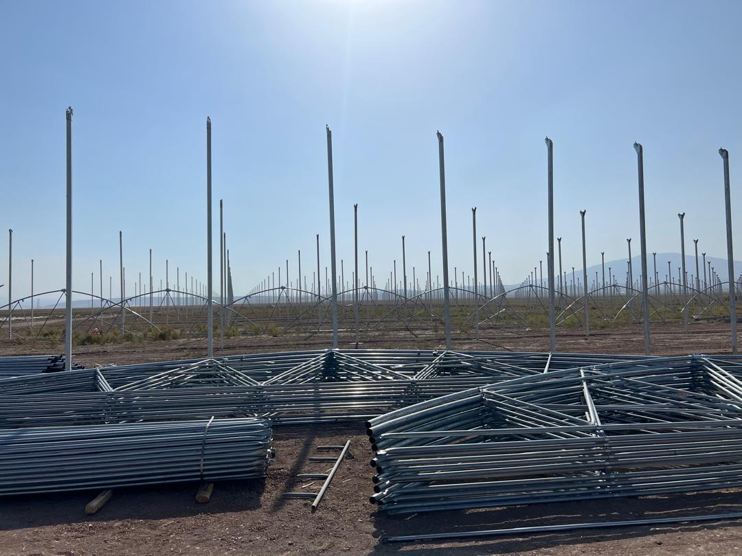 WhatsApp Image 2025-11-25 at 14.19.45