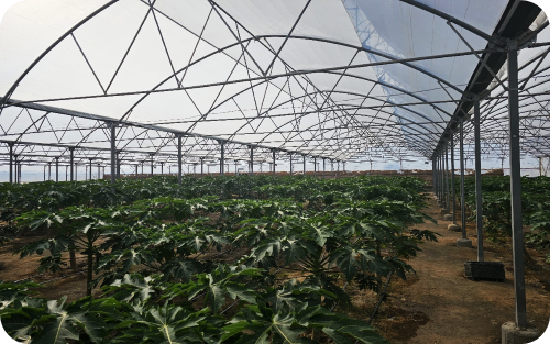 آقای شاملو- رباط کریم اصغرآباد