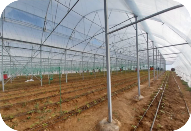 آقای صادقیان-دورسون آباد