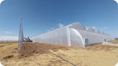 آقای یوسفی-رزن