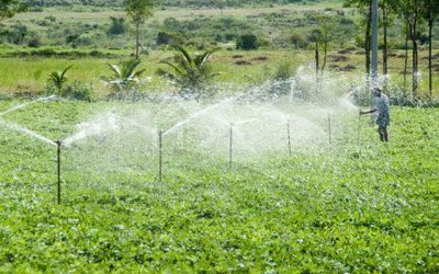 سیستم ابیاری ابشاری